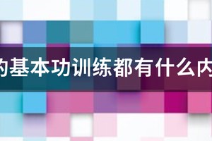 篮球基本功训练计划？